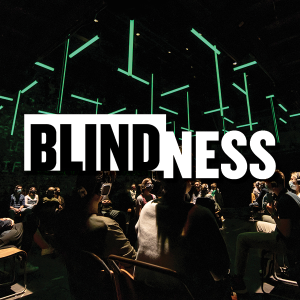 blindness show art