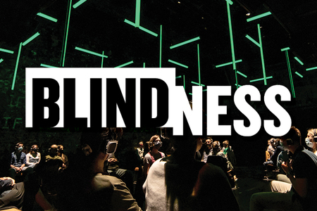 blindness show art