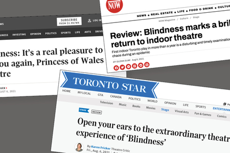 Various newspaper headline reviews for Blindness