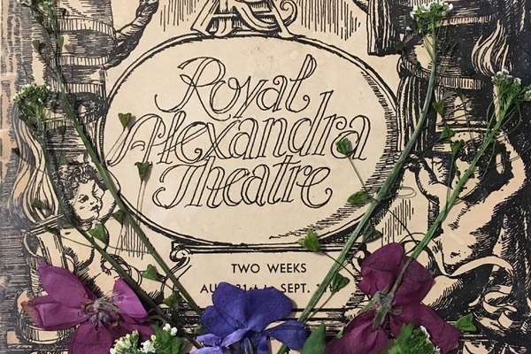 Royal Alexandra Theatre programme