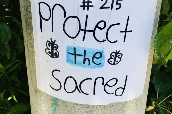 sign written in child hand writing saying #215 Protect the Sacred on telephone pole