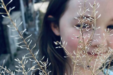 Girl (our of focus) holds dry flowers.