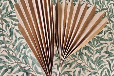 Two kraft paper fans. Green and white leaves and stem print wallpaper serves as the background.