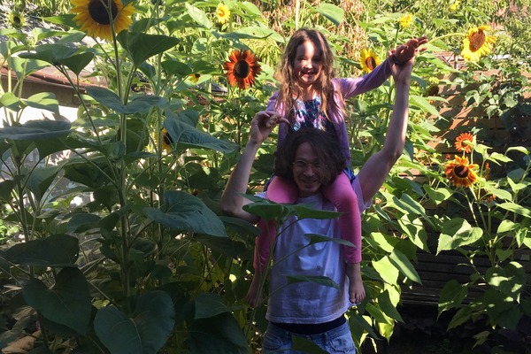 Man (father) stands with girl (daughter) on hi shoulders in a garden of towering sunflowers.