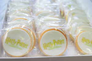 Harry Potter cookies