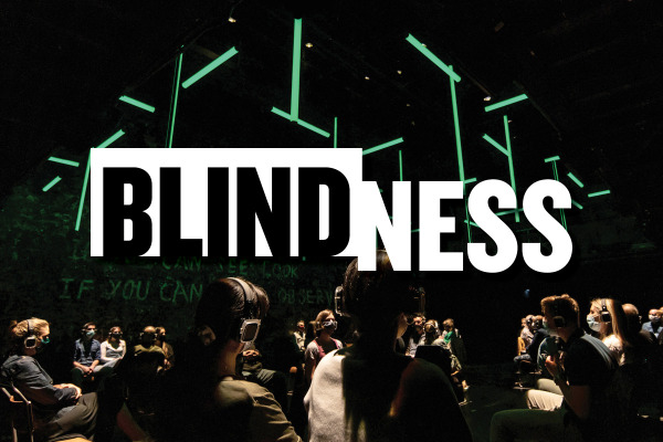 Blindness show art
