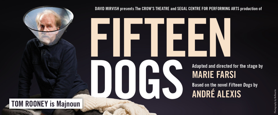 Fifteen Dogs