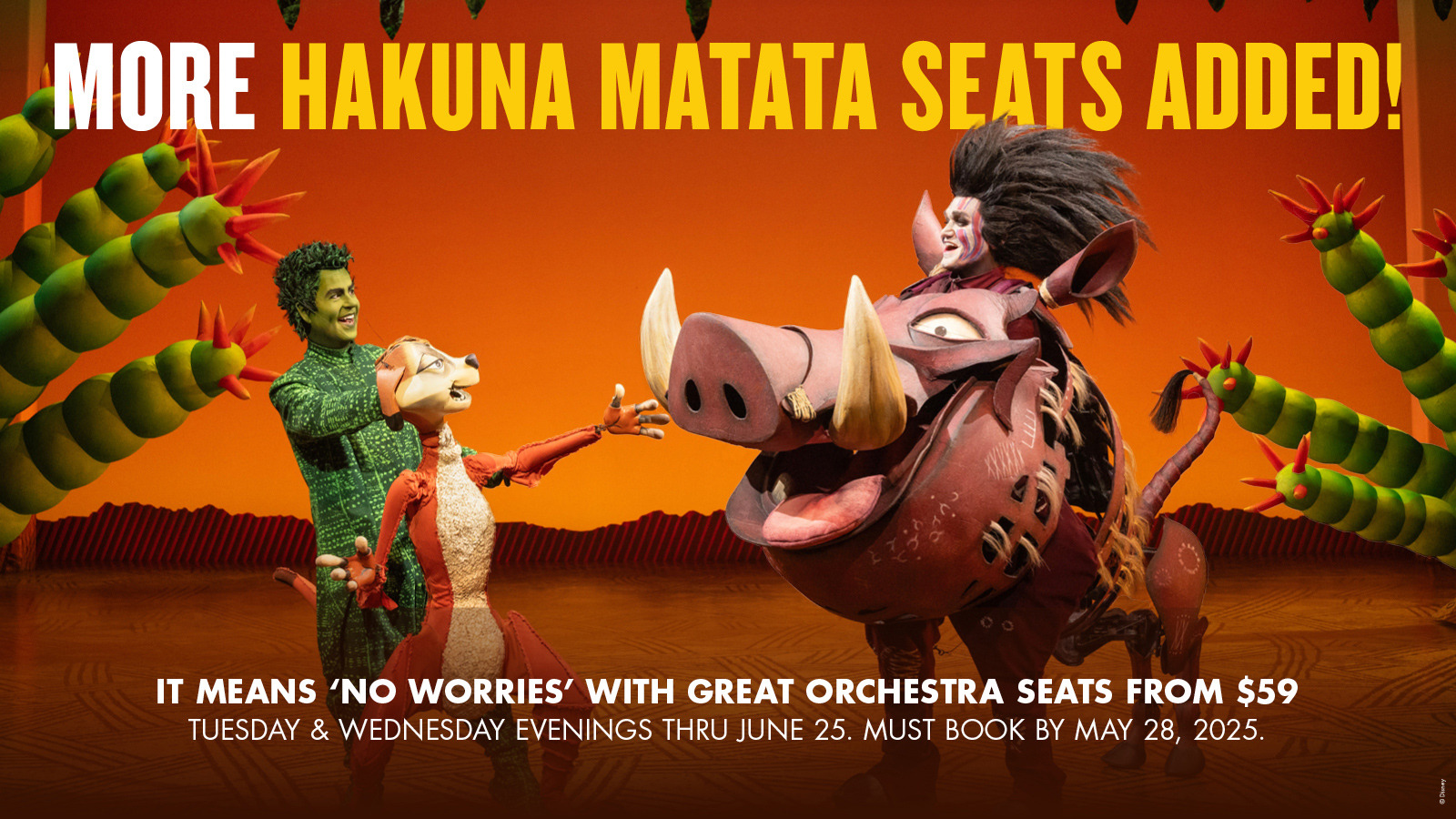 New! More Hakuna Matata Seats